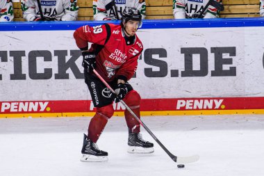 COLOGNE, GERMANY - 21 Kasım 2025 - Hokey maçı DeL Koelner Haie - Lanxess Arena 'da Augrsburger Panter.