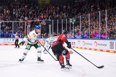 COLOGNE, GERMANY - 21 Kasım 2025 - Hokey maçı DeL Koelner Haie - Lanxess Arena 'da Augrsburger Panter.