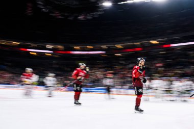 COLOGNE, GERMANY - 21 Kasım 2025 - Hokey maçı DeL Koelner Haie - Lanxess Arena 'da Augrsburger Panter.