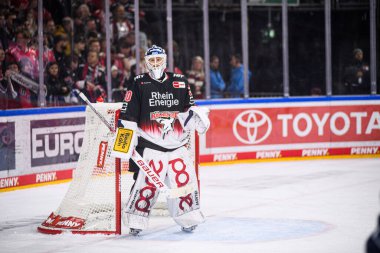COLOGNE, ALMANY - 23 Kasım 2025: - Hokey maçı DeL Koelner Haie - Schwenninger Vahşi Kanatlar Lanxess Arena 'da.