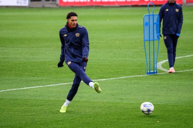 LEVERKUSEN, GERMANY - 24 Kasım 2025: Malik Tillman - Bayer 04 Leverkusen 'in UEFA Şampiyonlar Ligi karşılaşmasından önceki antrenmanı Bayena City' de Manchester City 'ye karşı.