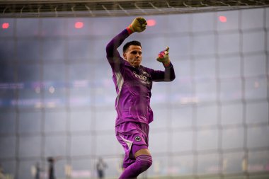 FRANKFURT, GERMANY - 26 Kasım 2025: Michael Zetterer - UEFA Şampiyonlar Ligi maçı Eintracht Frankfurt - Atalanta Bergamo Deutsche Park 'ta.