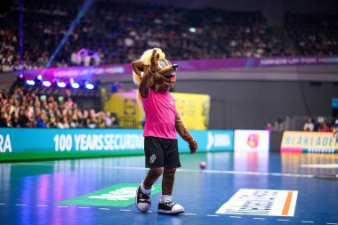 DORTMUND, Almanya - 6 ARALIK 2025 Kadınlar Hentbol Dünya Şampiyonası 2025 Faroe Adası - Westfallenhalle Adası.