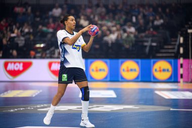 DORTMUND, GERMANY - 7 Aralık 2025: Roberts Jamina - Kadınlar Hentbol Dünya Şampiyonası 2025 Angola, Westfallenhalle 'de İsveç' e karşı.