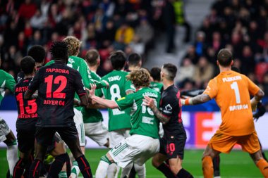 LEVERKUSEN, GERMANY - 10 ARALIK, 2025: - UEFA Şampiyonlar Ligi, Bayer 04 Leverkusen-Newcastle United maçı Bayarena 'da.