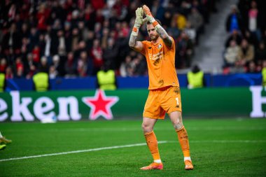 LEVERKUSEN, GERMANY - 10 ARALIK 2025: Mark Flekken - UEFA Şampiyonlar Ligi, Bayer 04 Leverkusen-Newcastle United maçı Bayarena 'da.