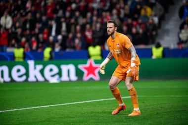 LEVERKUSEN, GERMANY - 10 ARALIK 2025: Mark Flekken - UEFA Şampiyonlar Ligi, Bayer 04 Leverkusen-Newcastle United maçı Bayarena 'da.