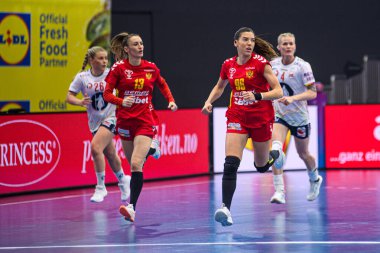 DORTMUND, GERMANY - 9 ARALIK 2025: - 2025 Dünya Bayanlar Hentbol Şampiyonası Norveç Karadağ 'a karşı Westfallenhalle' de.