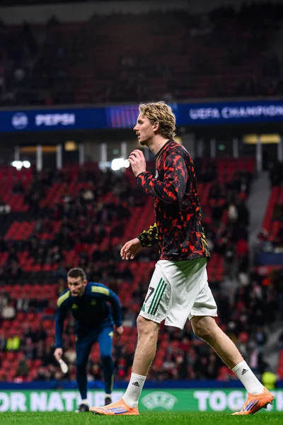 LEVERKUSEN, GERMANY - 10 ARALIK 2025: Nick Woltemade, Newcastle United Forward - UEFA Şampiyonlar Ligi, Bayer 04 Leverkusen - Newcastle United.