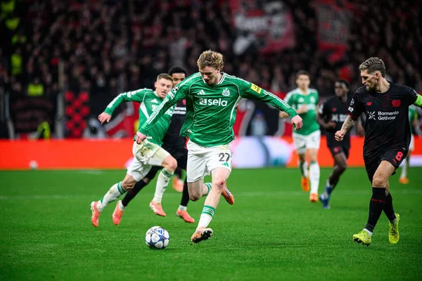 LEVERKUSEN, ALMANY - 10 ARALIK, 2025: Nick Woltemade - UEFA Şampiyonlar Ligi, Bayer 04 Leverkusen-Newcastle United maçı Bayarena 'da.