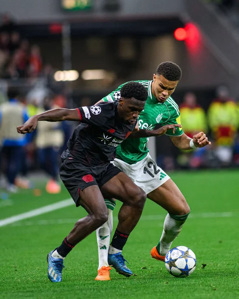 LEVERKUSEN, GERMANY - 10 ARALIK, 2025: Ernest Poku, Malick Thiaw - UEFA Şampiyonlar Ligi, Bayer 04 Leverkusen - Newcastle United.