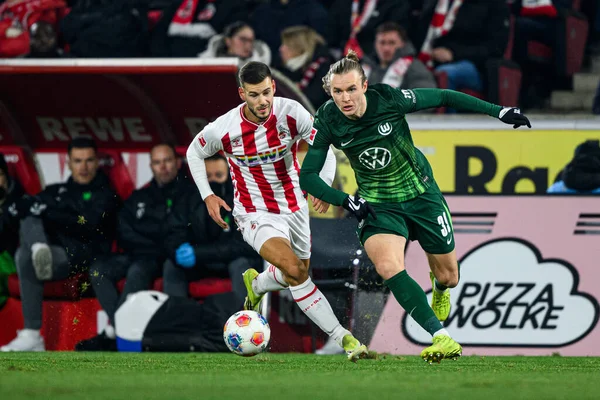 COLOGNE, Almanya - 30 HAZİRAN, 2026: Patrick Wimmer, Tom Krauss\ - 1. Bundesliga futbol maçı 1. FC Koeln, VfL Wolfsburg 'a karşı. Rhein Enerji Stadyumunda.