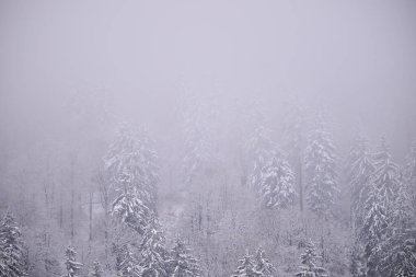 Sisli kış dağları, karla kaplı ağaçlar, karlı manzaralar..