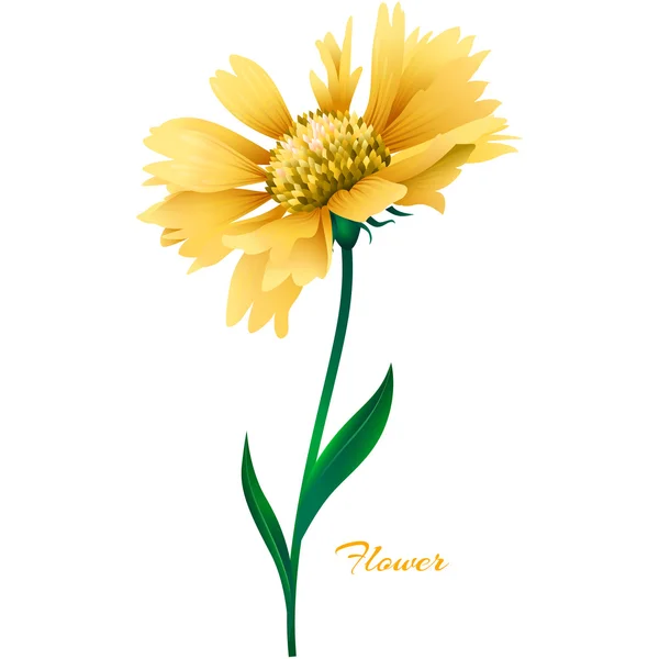 Flor vetorial amarelo realista . — Vetor de Stock