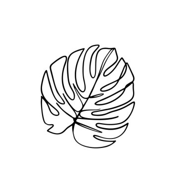 Devamlı çizgi halinde canavar yaprağı. Tropikal yaprak çizimi
