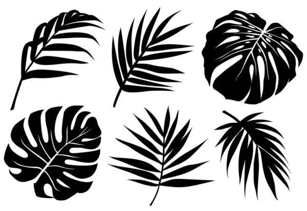 Vector trópico deja silueta negra. Planta de la selva, hoja de monstera, fronda de palma. Conjunto exótico abstracto con elementos tropicales — Vector de stock