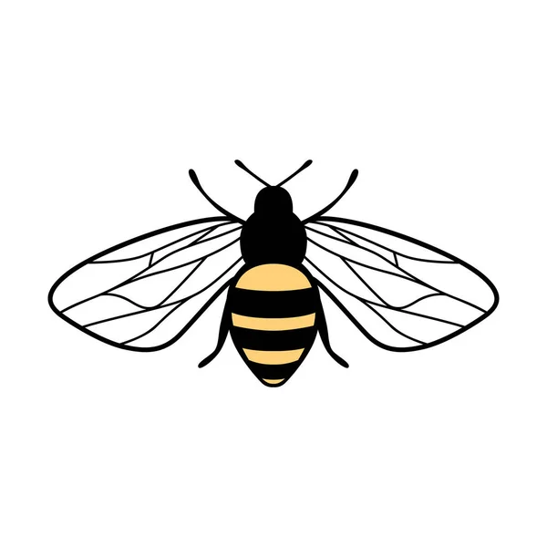 Düz şekilli şirin arı illüstrasyonu. Beyaz arka planda izole edilmiş uçan bal arısı karakteri. Vızıldayan böcek — Stok Vektör