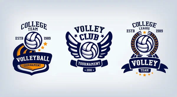 Set emblema della squadra di pallavolo — Vettoriale Stock