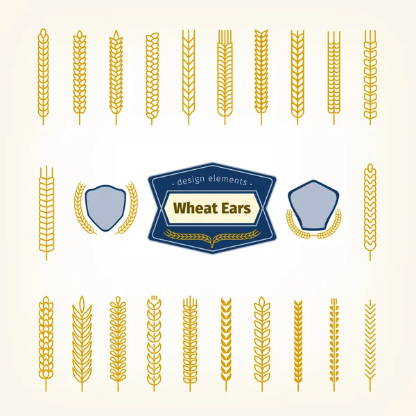 Набір лінійних пшеничних вінків, рамкові значки — стоковий вектор