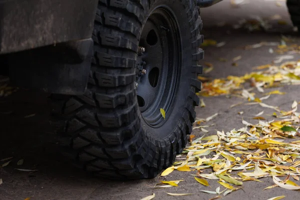 Sonbahar kaldırımındaki off-road lastik detayı. Yapraklı noktalı bir yüzeyde, tıknaz bir off-road lastiğinin yakın çekimi. Güçlü doku ve mevsimsel ipuçları.
