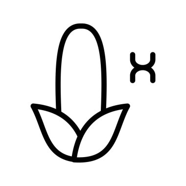 Organik Altın Mısır Tarım ve Profesyonel Gıda Endüstrisi İçin Ayarlandı