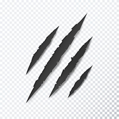 Saydam arka plan pençe çizikler. Vektör çizim.