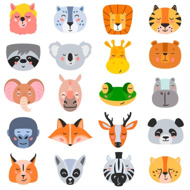 Çeşitli vahşi hayvanların görüntüsü.