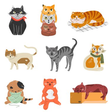 Farklı pozlardaki sevimli kedi yavruları koleksiyonu.