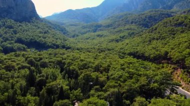 Antalya yakınlarındaki görkemli dağlarla dolu yoğun yeşil bir ormanın üzerinde pürüzsüz bir hava aracı uçuşu.