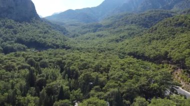 Antalya yakınlarındaki görkemli dağlarla dolu yoğun yeşil bir ormanın üzerinde pürüzsüz bir hava aracı uçuşu. Notlandırılmamış, Dlog