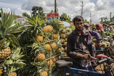 Canlı, taze toplanmış ananas yığını Bangladeş 'teki doğal güzelliklerini ve tropikal cazibelerini sergiliyor.
