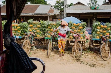 Canlı, taze toplanmış ananas yığını Bangladeş 'teki doğal güzelliklerini ve tropikal cazibelerini sergiliyor.