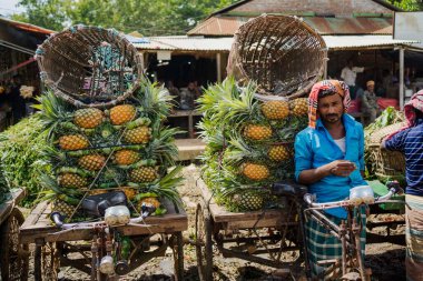 Canlı, taze toplanmış ananas yığını Bangladeş 'teki doğal güzelliklerini ve tropikal cazibelerini sergiliyor.