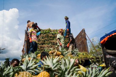 İşçiler, Bangladeş 'teki doğal güzelliklerini ve tropikal cazibelerini sergilemek için yeni toplanmış ananas yığınından kamyonlar yüklüyorlar.