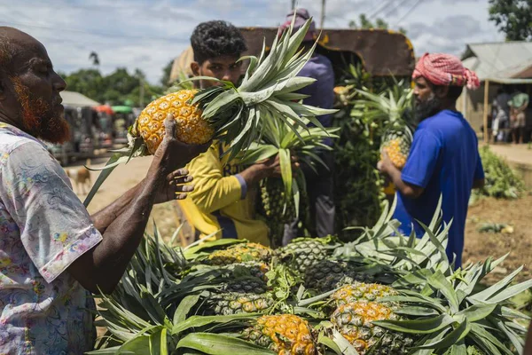 Canlı, taze toplanmış ananas yığını Bangladeş 'teki doğal güzelliklerini ve tropikal cazibelerini sergiliyor.