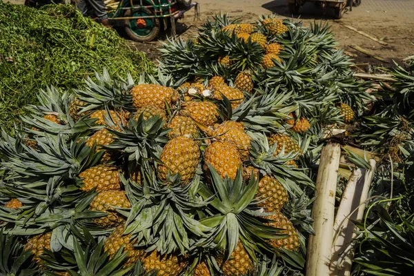 Canlı, taze toplanmış ananas yığını Bangladeş 'teki doğal güzelliklerini ve tropikal cazibelerini sergiliyor.