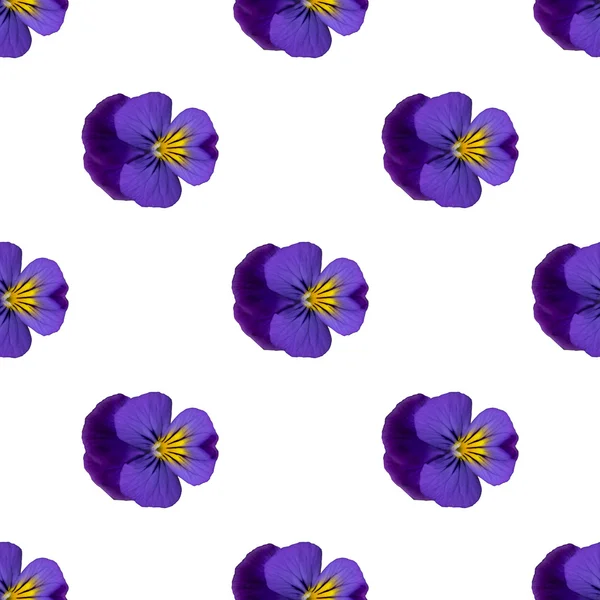 Purple pansies seamless repeat pattern — Stock Photo, Image