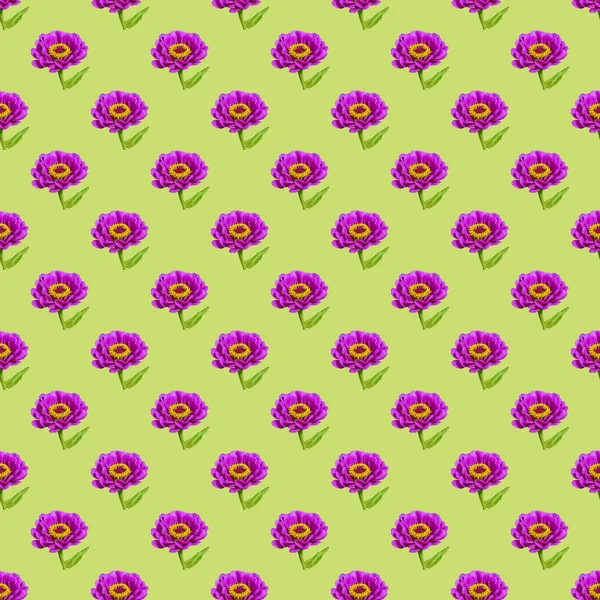Patrón de repetición sin costuras de flores rosadas sobre fondo verde —  Fotos de Stock