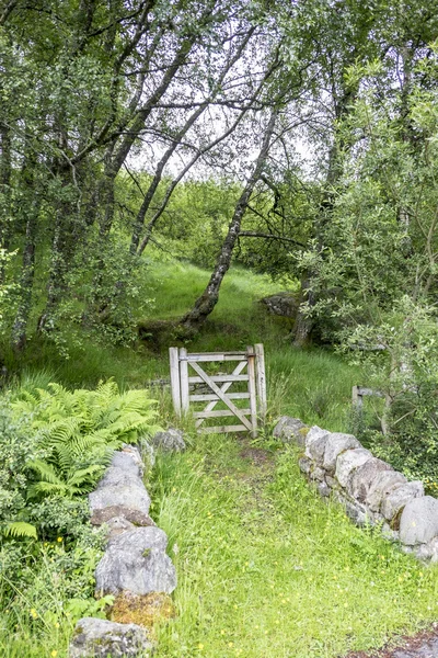 Puerta al bosque a pie Scottish Highlands — Foto de Stock