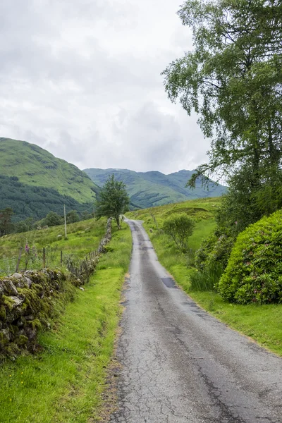 Skotska landsbygden lane med betande får — Stockfoto