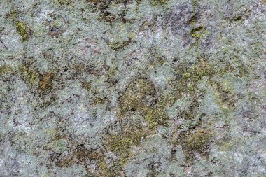 Liken taş duvar doku kaplı