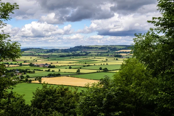 North Yorkshire kırsal manzara