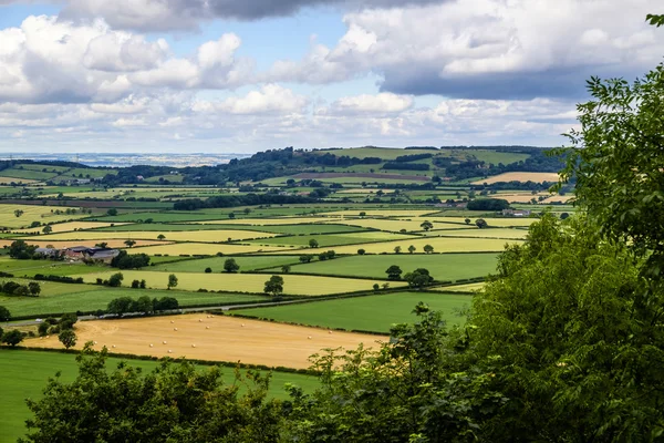 Yorkshire kırsal manzara