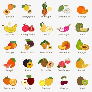 Set of illustrations Tropical and garden fruits. A set of fruits ranging from tropical to common garden fruits. EPS 10.
