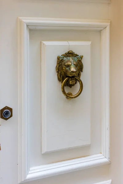 Klasik Ev Dekorasyonu İçin Beyaz Panelli Ön Kapıda Zarif Pirinç Aslan Kapı tokmağı