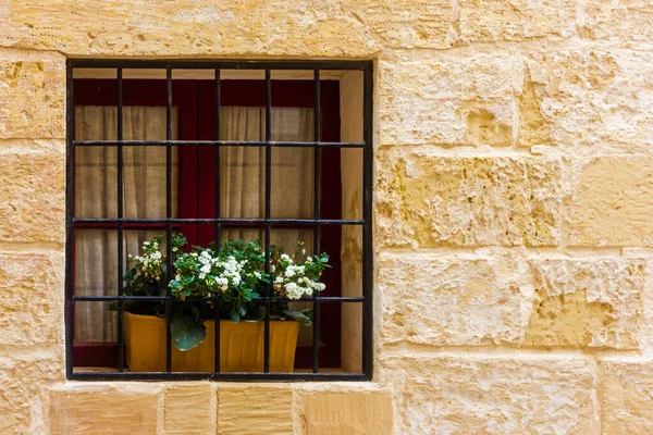 Parmaklıklı Pencere Sarı Taş Duvarda Beyaz Çiçek Kutusu