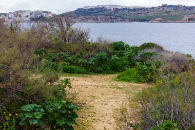 Kıyı Doğa Yolu Yeşil Çalılıklardan Denize Bulutlu Gökyüzünün Altında