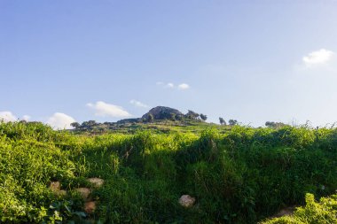 Mavi gökyüzü ve bereketli kırsal alanda yeşil tepe manzarası