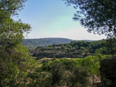 Berrak Gök Altında Yuvarlanan Tepelerle Huzurlu Orman Vadisi Seyahat ve Açık Doğa Alanı