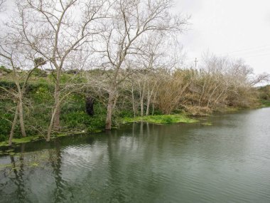 Tranquil River Landscape With Trees, Hillside, And Distant Village On A Calm Day